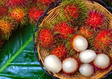 Đừng bỏ qua loại quả bổ từ vỏ đến hạt: Vừa chống ung thư, cải thiện chất lượng tinh trùng lại trị khỏi tiệt nhiều loại bệnh quen thuộc