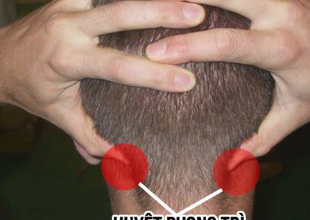 5 huyệt vị giúp chống lão hóa và cải thiện trí nhớ: Sau tuổi 40 bạn nên quan tâm