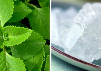 6 cách chữa bệnh cúm đơn giản và hiệu quả