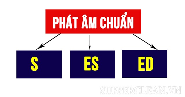 Mẹo hay: Nhớ nhanh và lâu cách phát âm đuôi -s, -es, -ed
